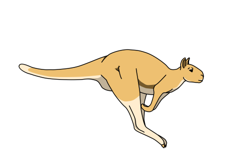 Reconstruction of Sthenurine Hopping.